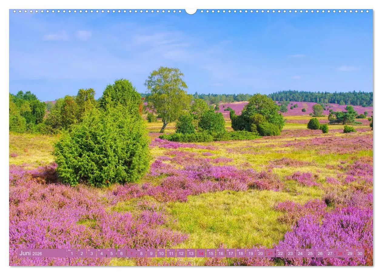 Bild: 9783457670675 | Lüneburger Heide - Wanderung rund um Wilsede und Totengrund...