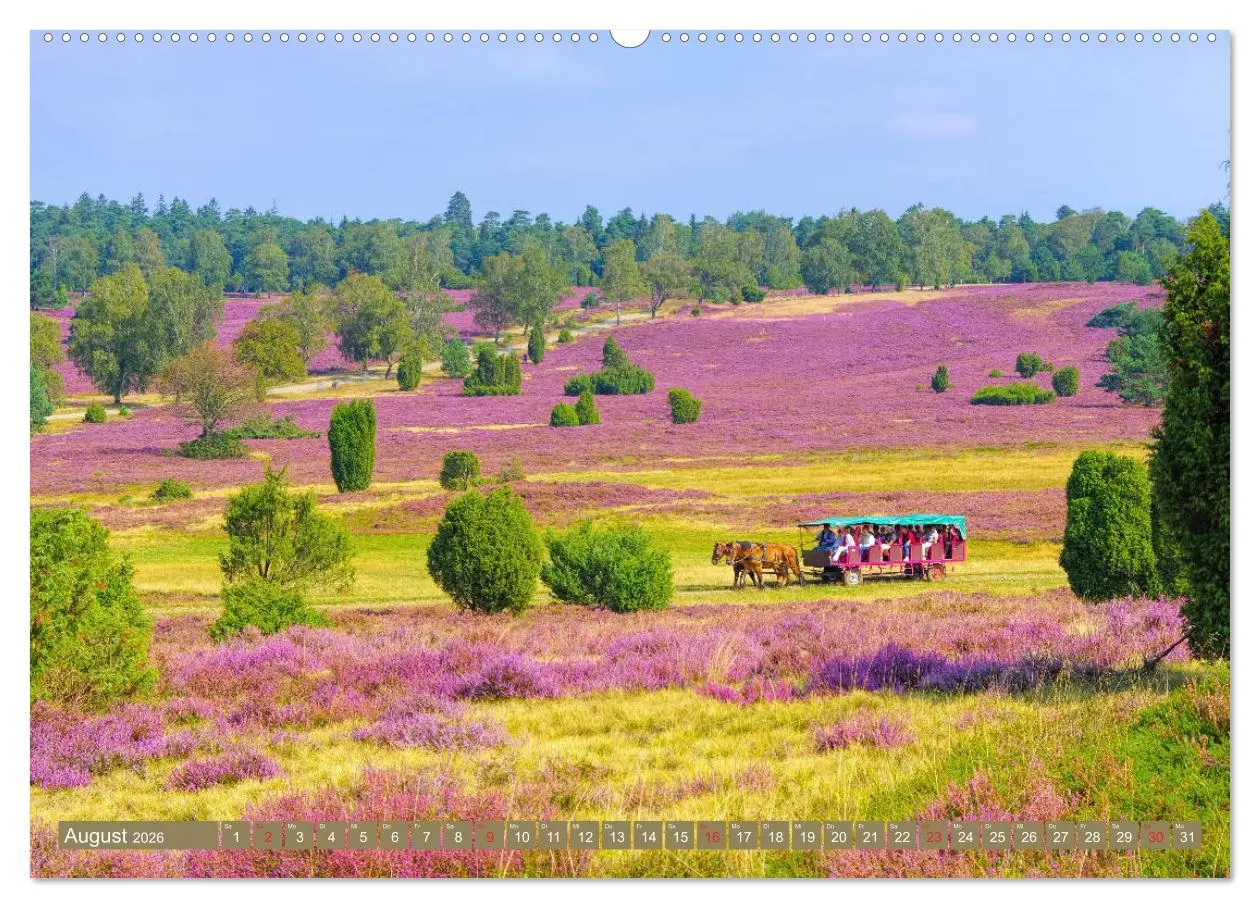 Bild: 9783457670675 | Lüneburger Heide - Wanderung rund um Wilsede und Totengrund...