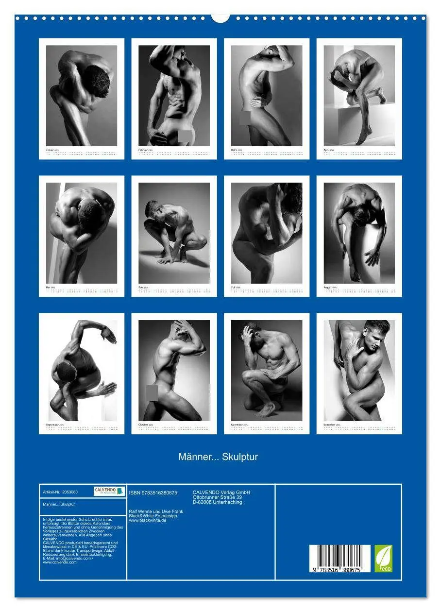 Bild: 9783516380675 | Männer... Skulptur (hochwertiger Premium Wandkalender 2026 DIN A2...