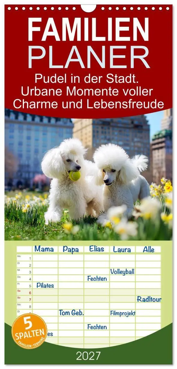 Cover: 9783594290675 | Familienplaner 2027 - Pudel in der Stadt. Urbane Momente voller...