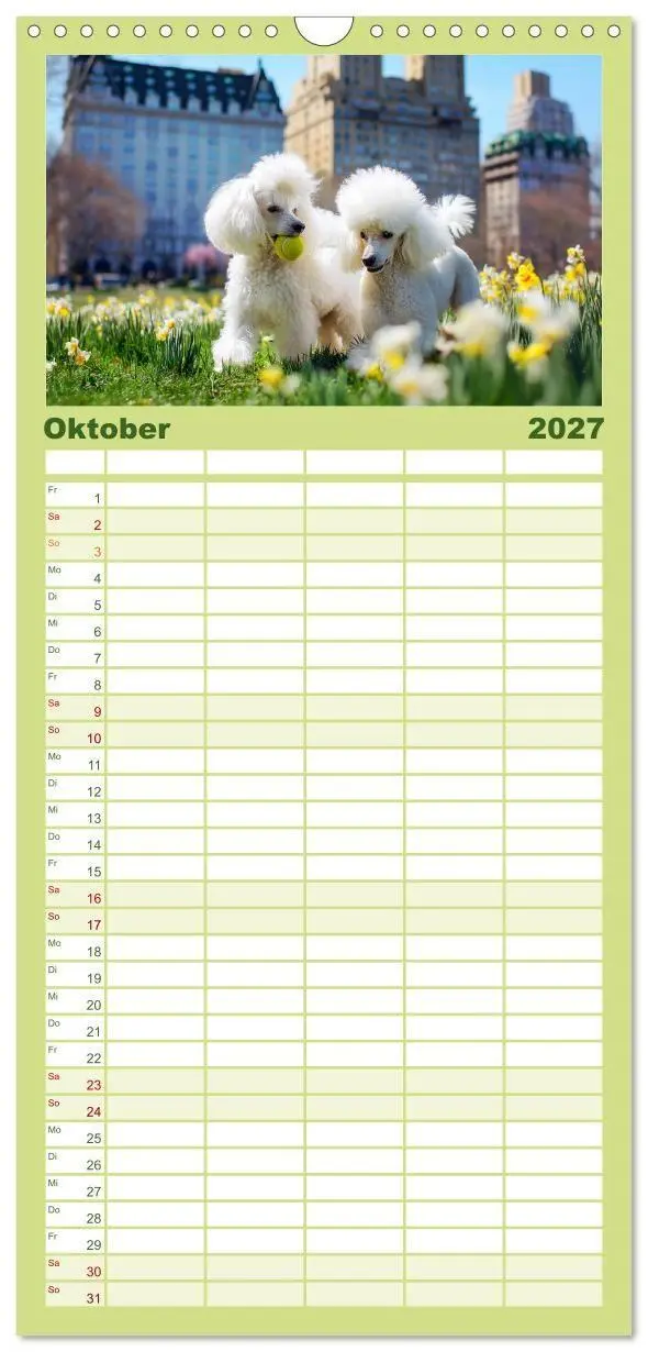 Bild: 9783594290675 | Familienplaner 2027 - Pudel in der Stadt. Urbane Momente voller...