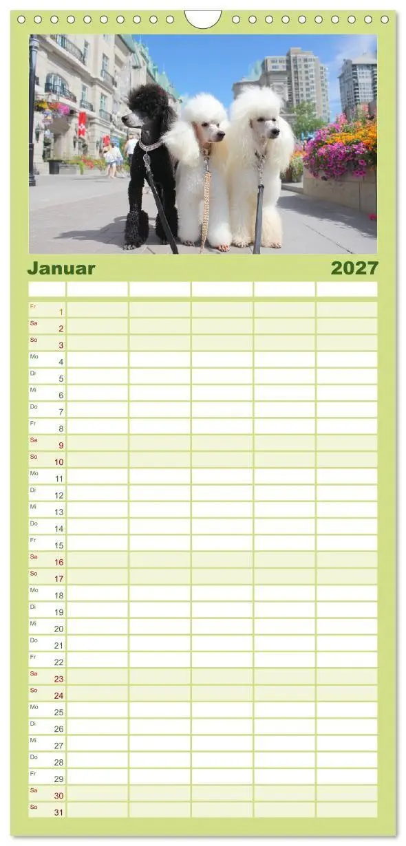Bild: 9783594290675 | Familienplaner 2027 - Pudel in der Stadt. Urbane Momente voller...