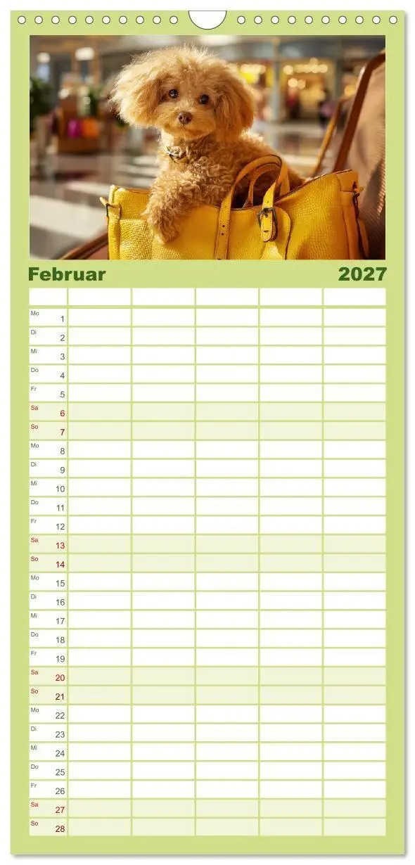 Bild: 9783594290675 | Familienplaner 2027 - Pudel in der Stadt. Urbane Momente voller...