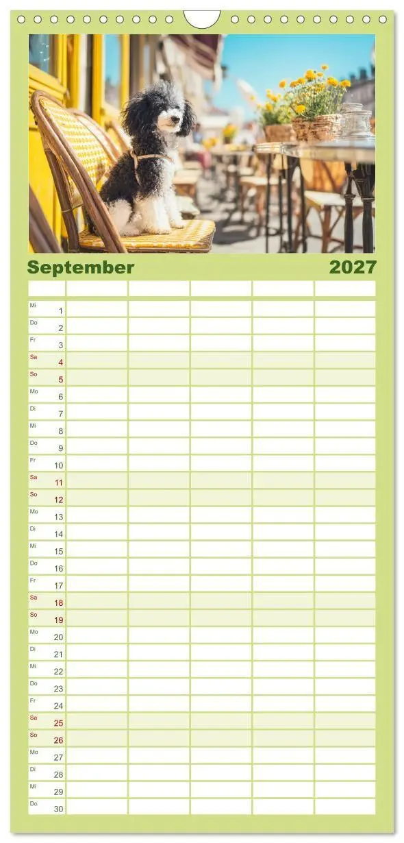 Bild: 9783594290675 | Familienplaner 2027 - Pudel in der Stadt. Urbane Momente voller...