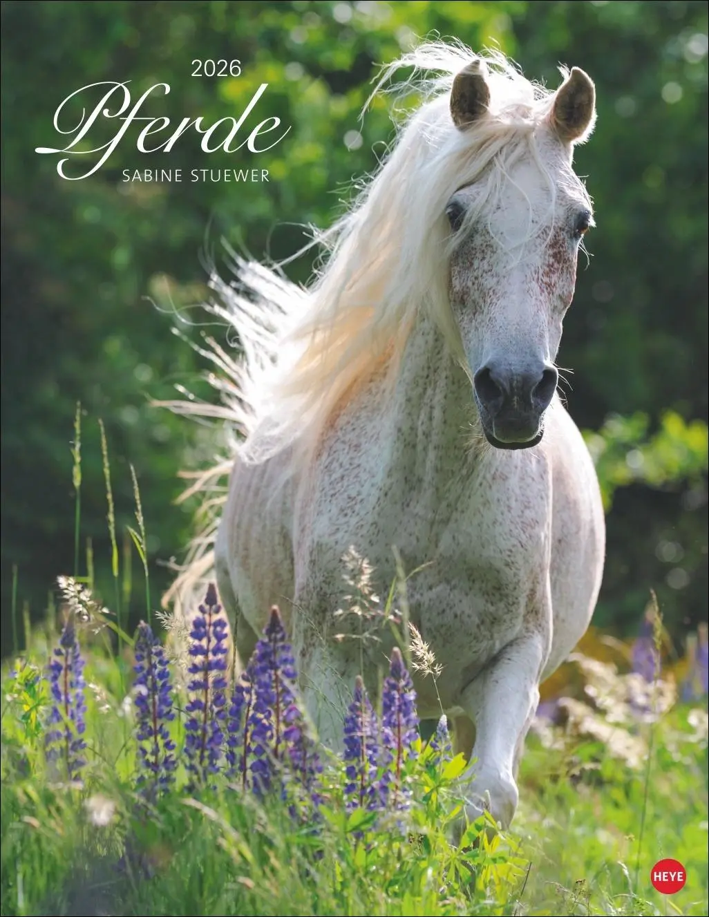 Cover: 9783756410675 | Pferde Classics Posterkalender 2026 | Sabine Stuewer | Kalender | 2026