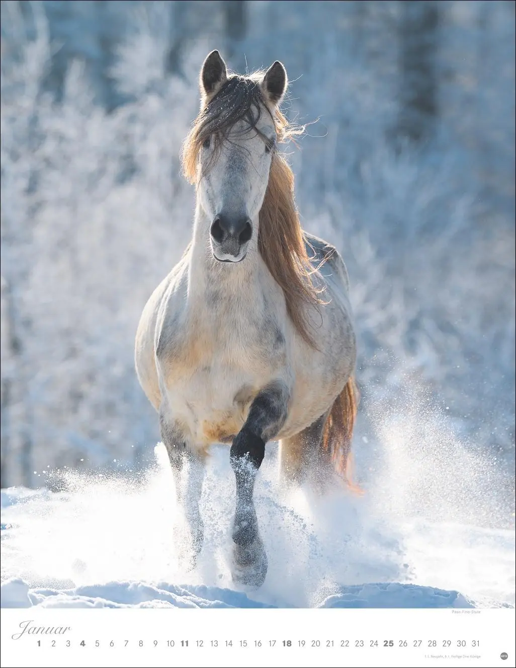 Bild: 9783756410675 | Pferde Classics Posterkalender 2026 | Sabine Stuewer | Kalender | 2026