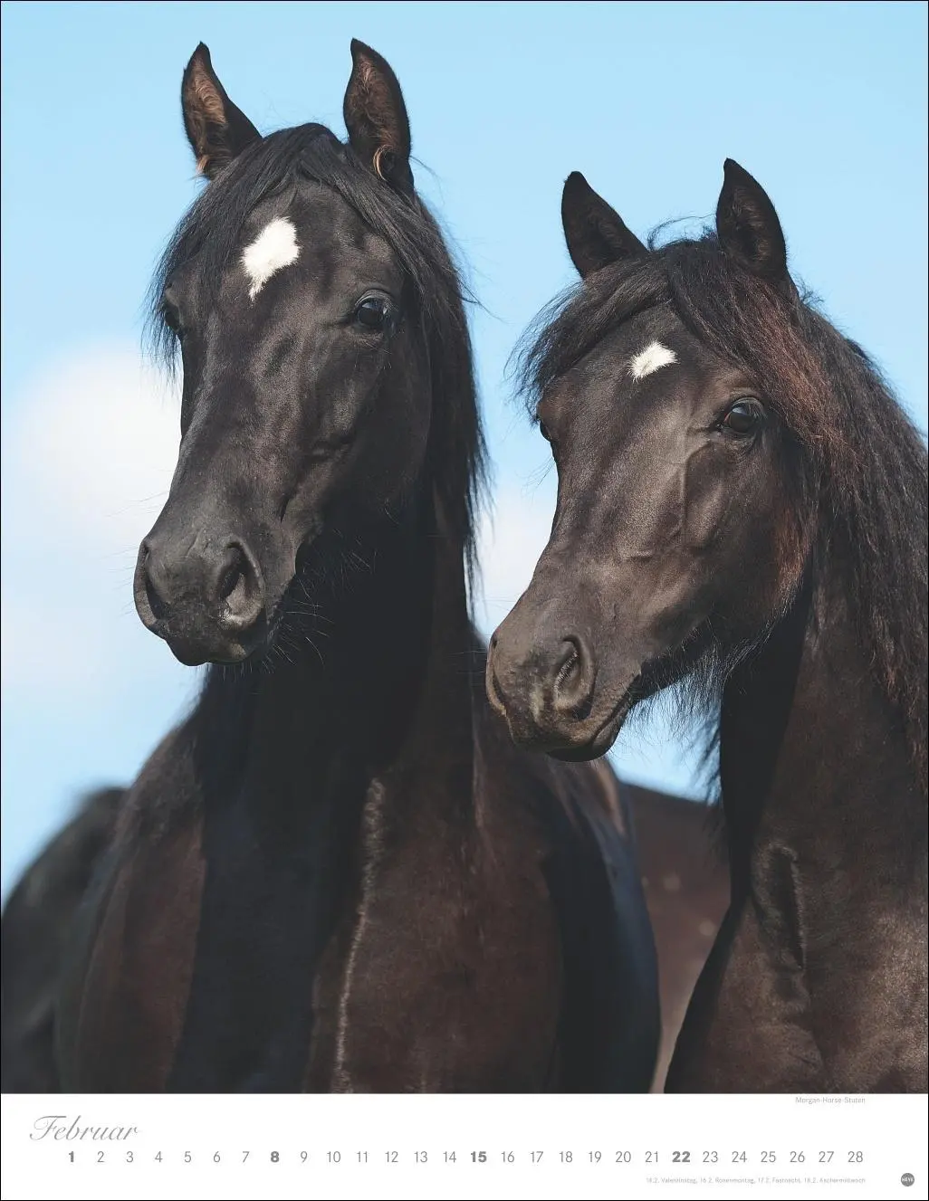 Bild: 9783756410675 | Pferde Classics Posterkalender 2026 | Sabine Stuewer | Kalender | 2026