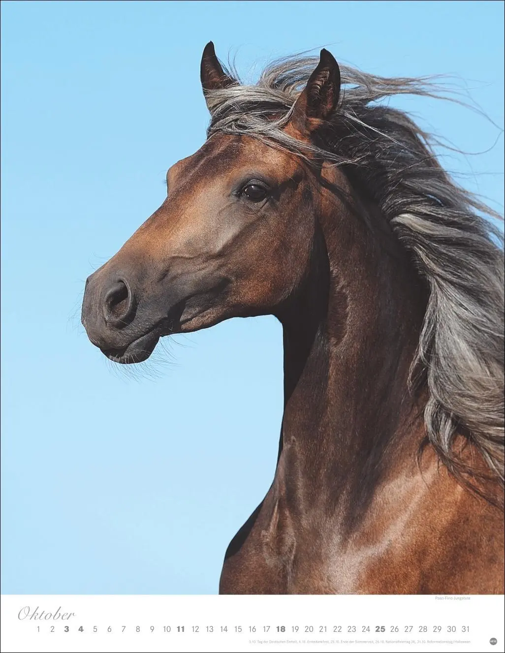 Bild: 9783756410675 | Pferde Classics Posterkalender 2026 | Sabine Stuewer | Kalender | 2026