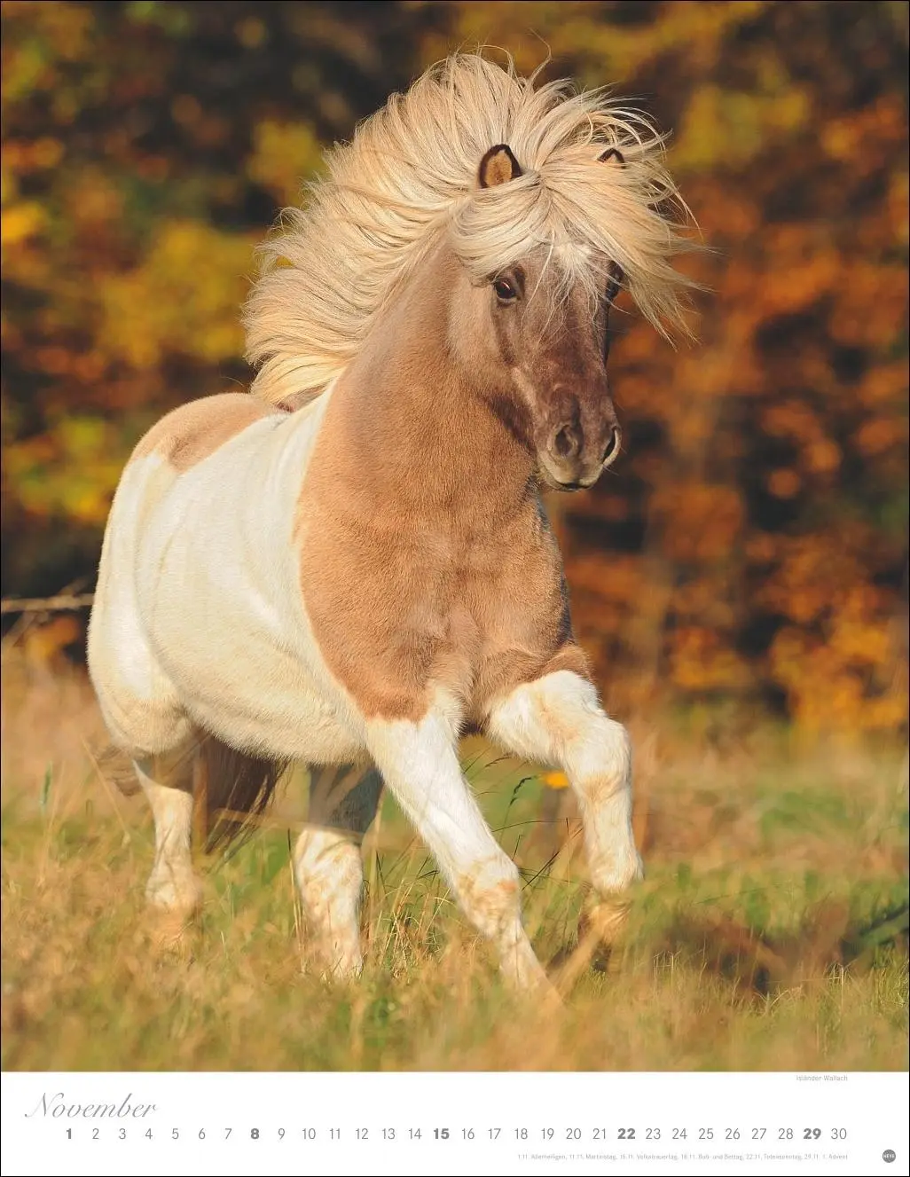 Bild: 9783756410675 | Pferde Classics Posterkalender 2026 | Sabine Stuewer | Kalender | 2026