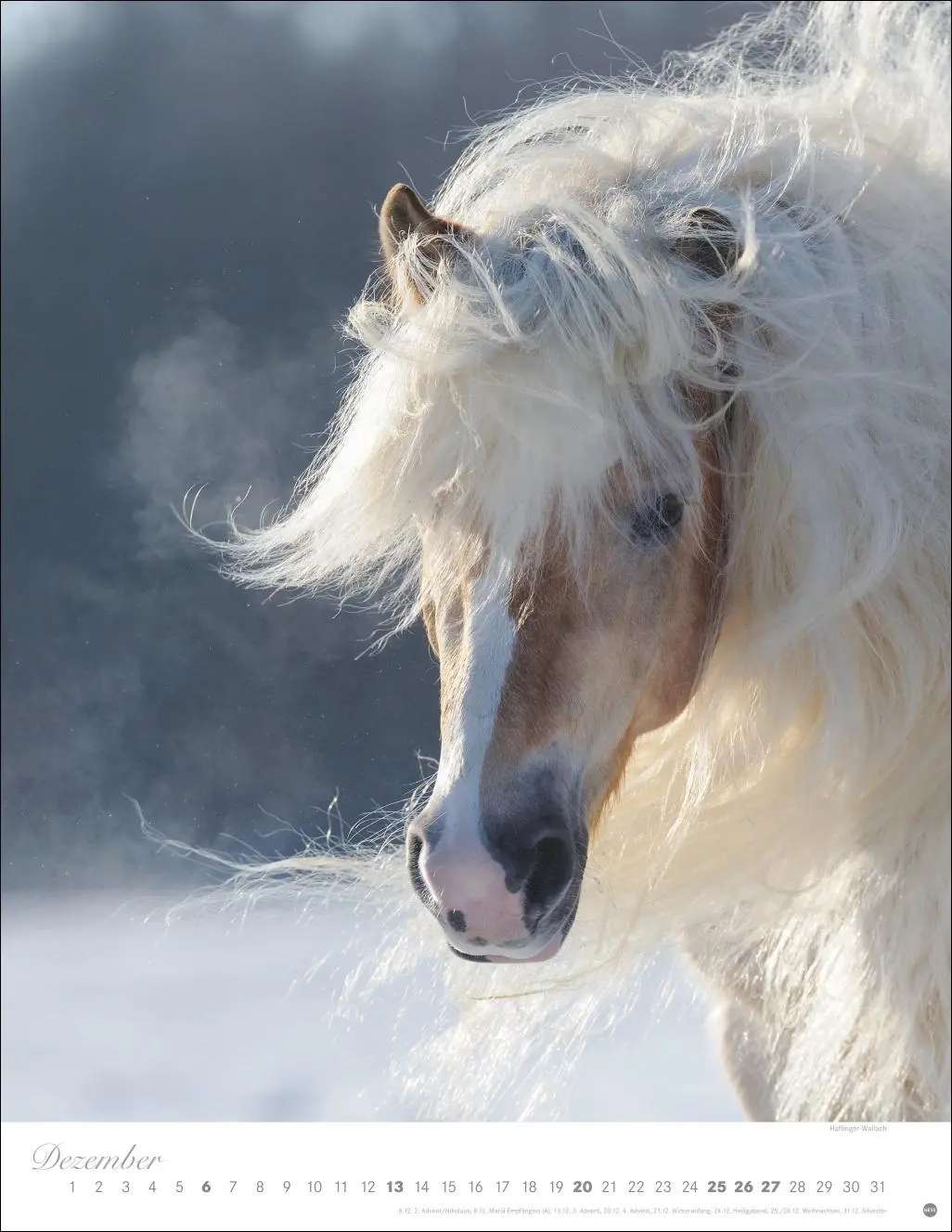 Bild: 9783756410675 | Pferde Classics Posterkalender 2026 | Sabine Stuewer | Kalender | 2026
