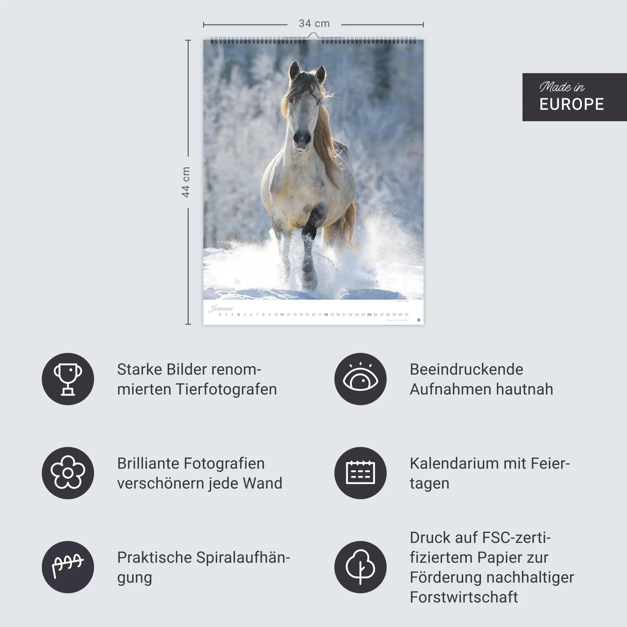 Bild: 9783756410675 | Pferde Classics Posterkalender 2026 | Sabine Stuewer | Kalender | 2026