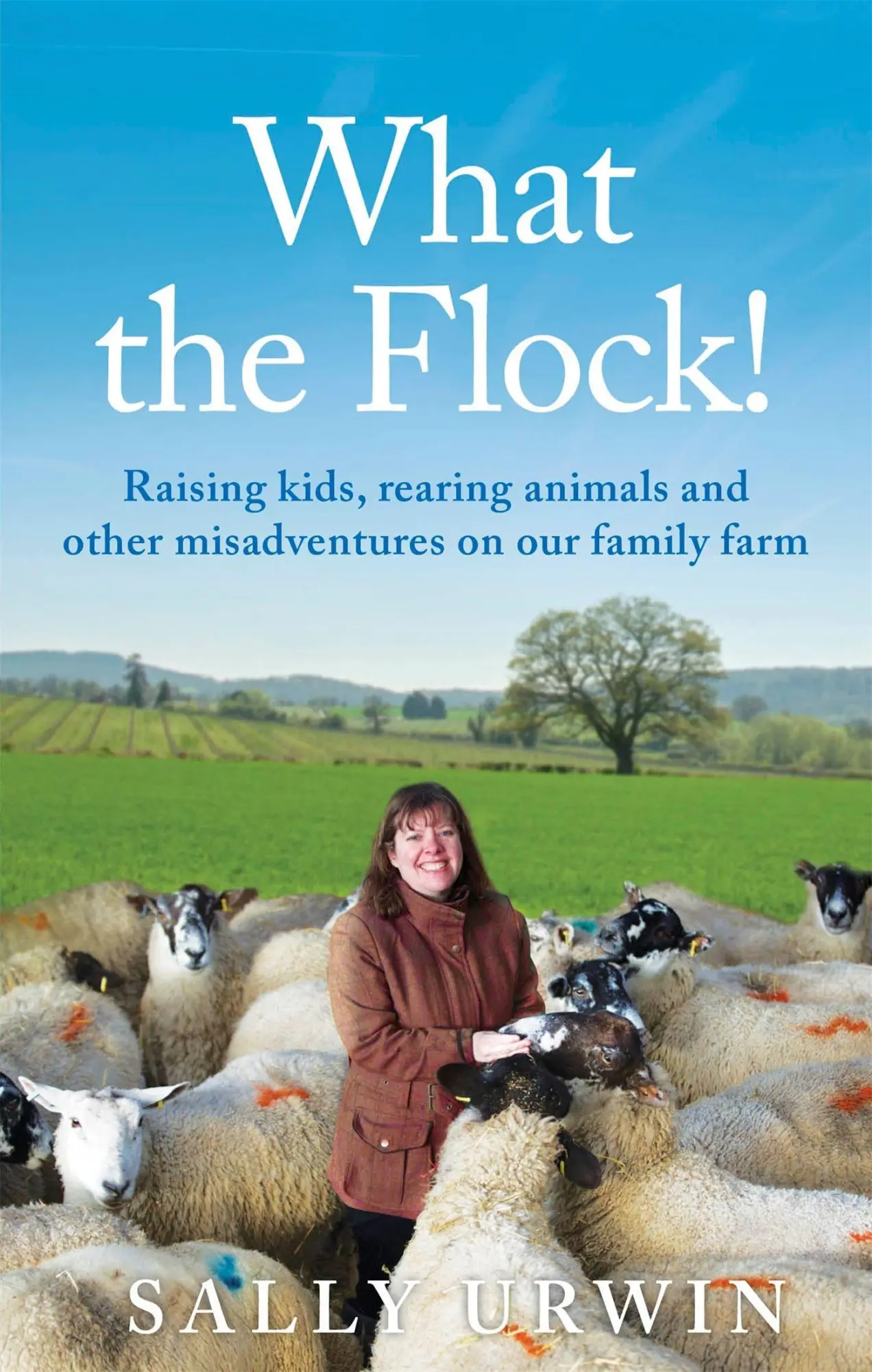 Cover: 9781909770775 | What the Flock! | Sally Urwin | Taschenbuch | Kartoniert / Broschiert