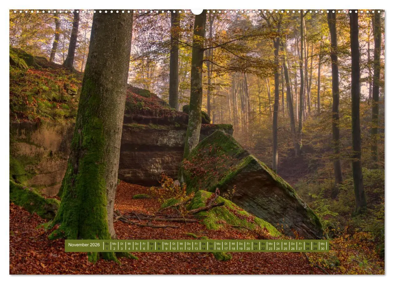 Bild: 9783457420775 | Magischer Pfälzer Wald (hochwertiger Premium Wandkalender 2026 DIN...