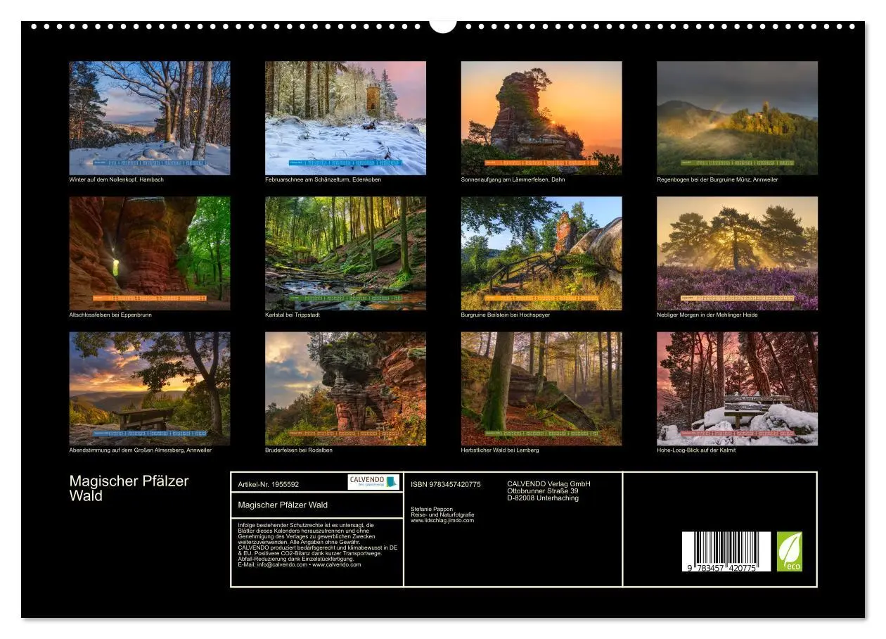 Bild: 9783457420775 | Magischer Pfälzer Wald (hochwertiger Premium Wandkalender 2026 DIN...