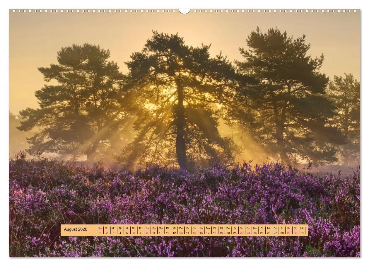 Bild: 9783457420775 | Magischer Pfälzer Wald (hochwertiger Premium Wandkalender 2026 DIN...