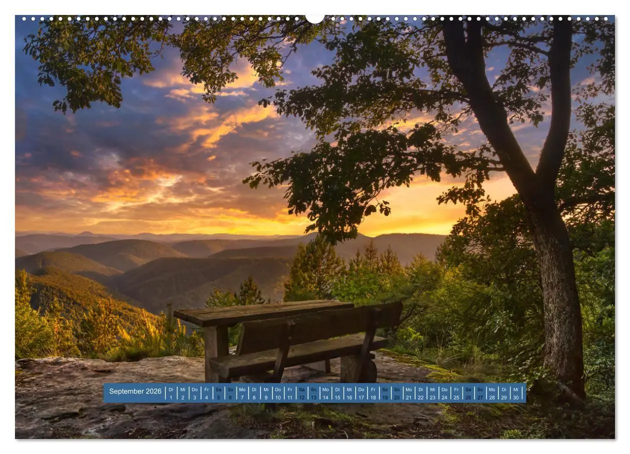 Bild: 9783457420775 | Magischer Pfälzer Wald (hochwertiger Premium Wandkalender 2026 DIN...
