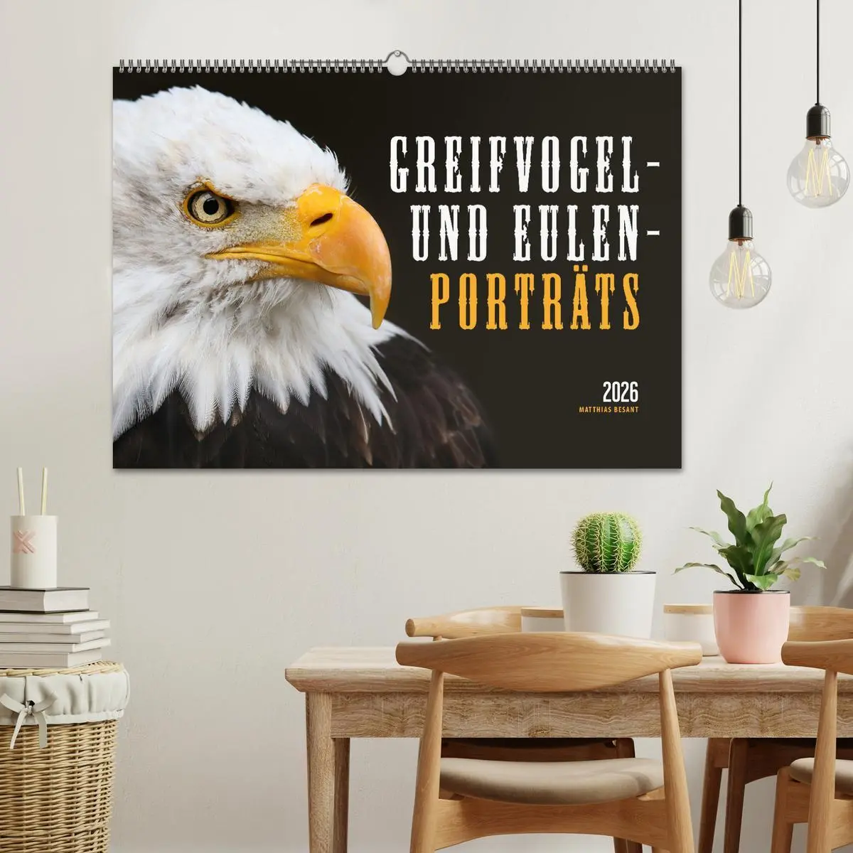 Bild: 9783457800775 | GREIFVOGEL- UND EULENPORTRÄTS (Wandkalender 2026 DIN A2 quer),...