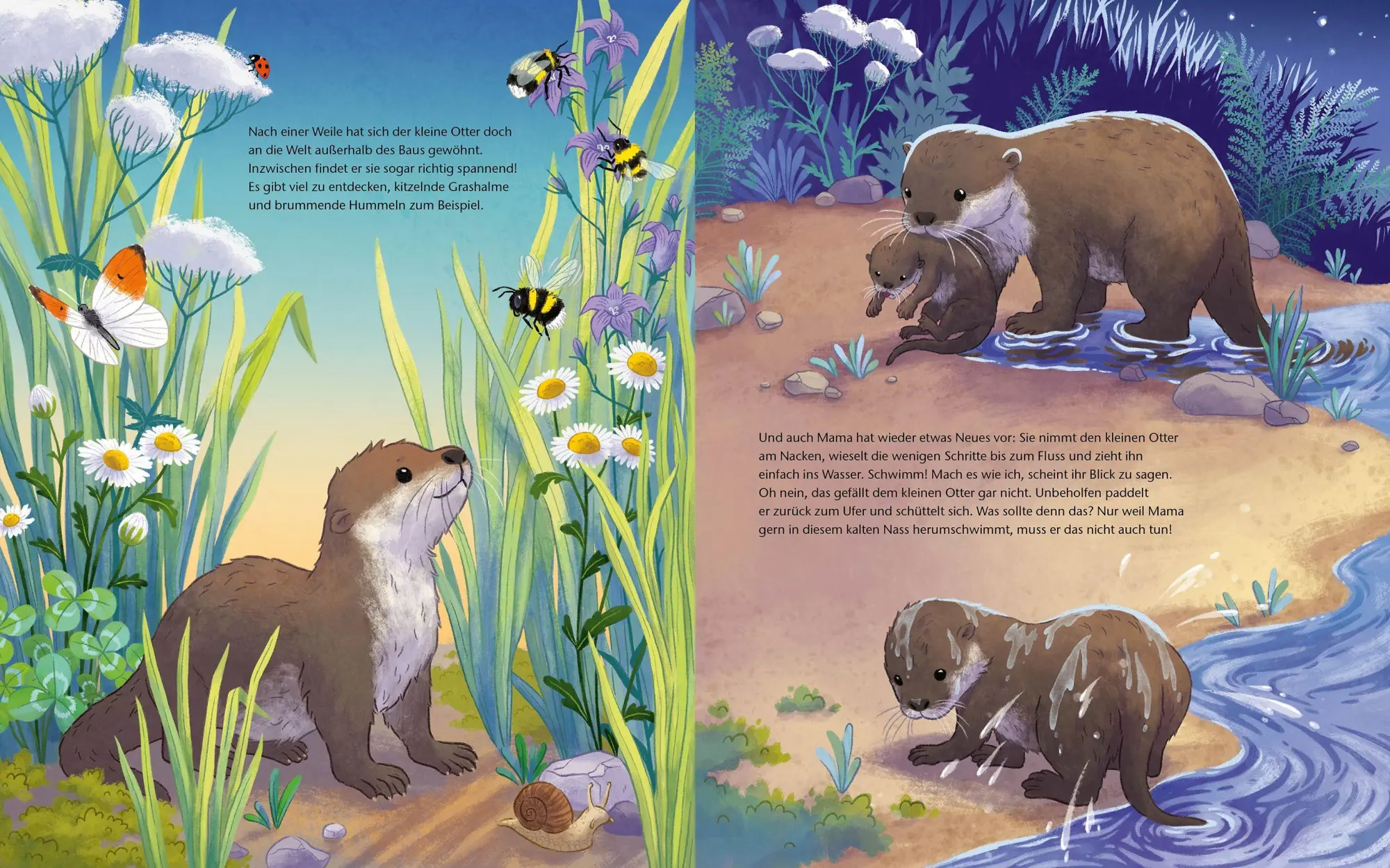 Bild: 9783734860775 | Der kleine Otter - Zu Hause in den Flüssen Europas | Buch | 32 S.