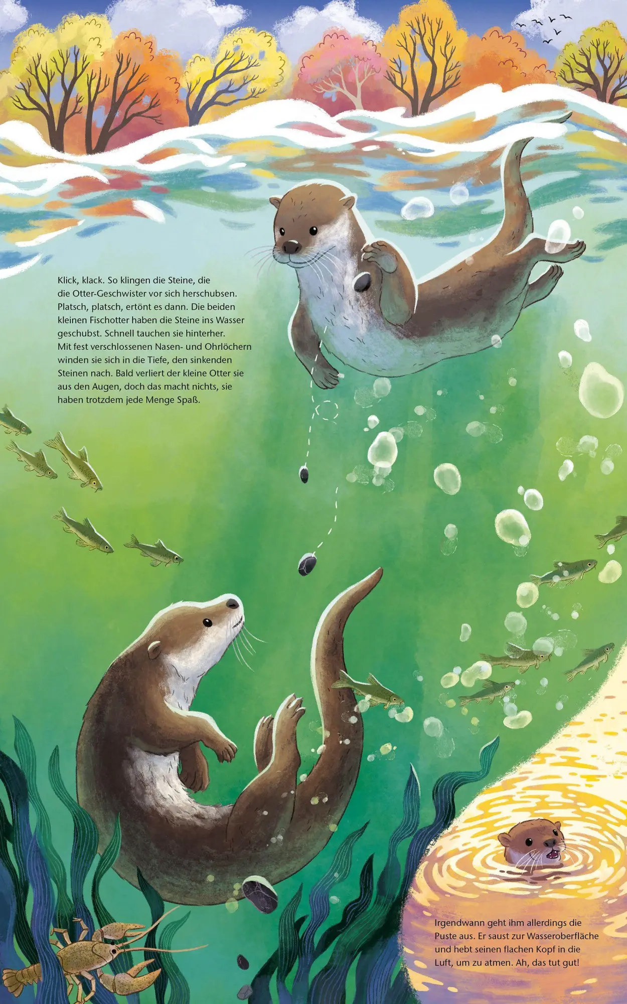 Bild: 9783734860775 | Der kleine Otter - Zu Hause in den Flüssen Europas | Buch | 32 S.