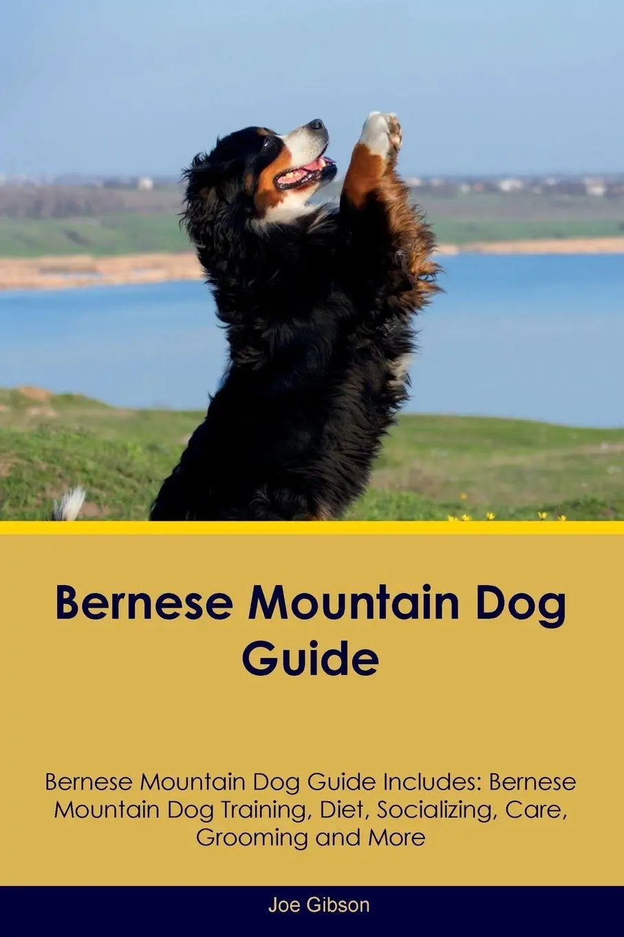 Cover: 9781395860875 | Bernese Mountain Dog Guide Bernese Mountain Dog Guide Includes | Buch