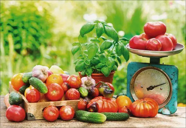Bild: 9783819300875 | Küchenkalender 2027 | Verlag Korsch | Kalender | 13 S. | Deutsch
