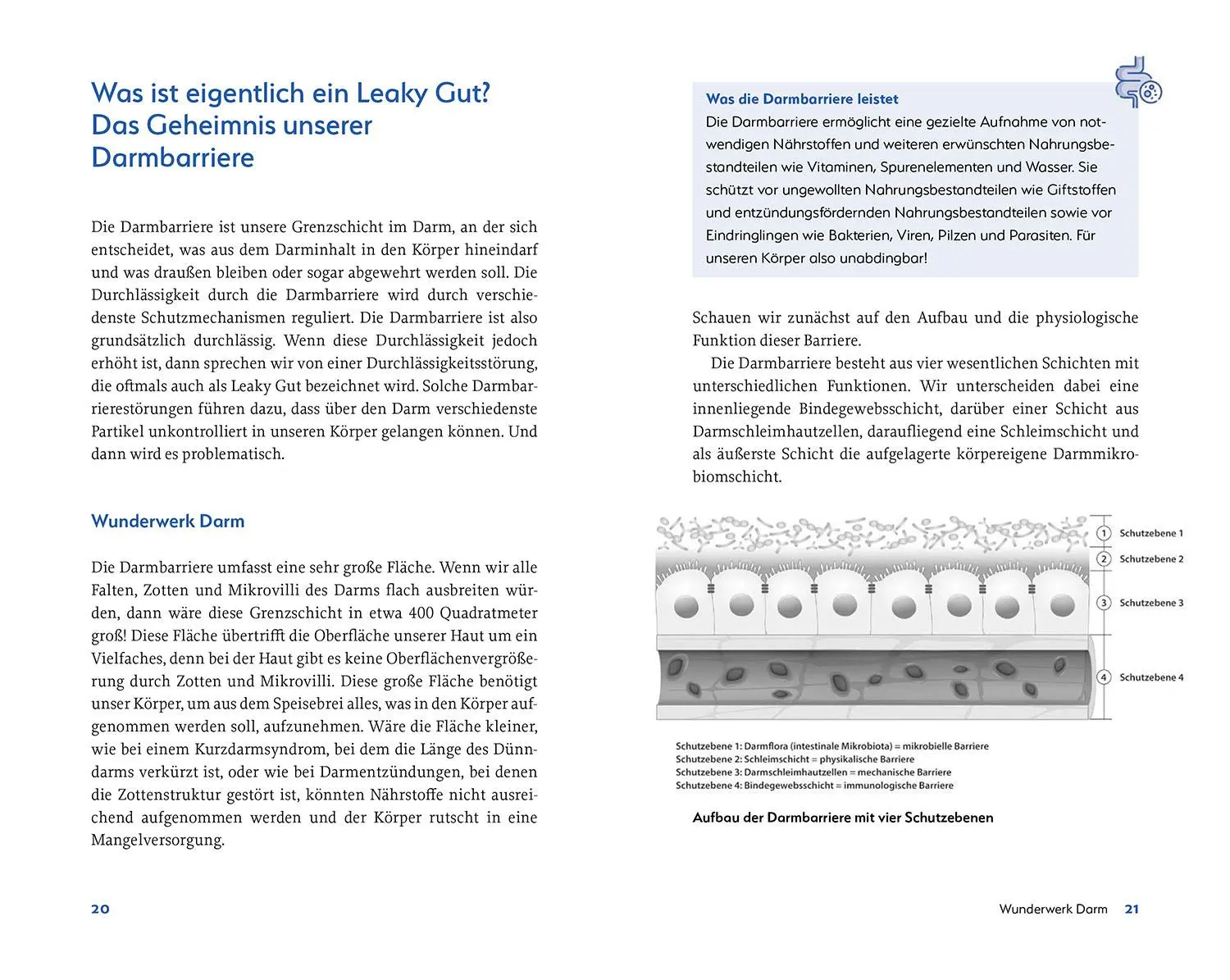 Bild: 9783968590875 | Leaky Gut und SIBO | Martin Storr | Taschenbuch | 240 S. | Deutsch