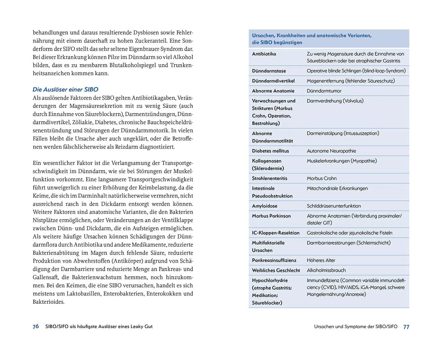 Bild: 9783968590875 | Leaky Gut und SIBO | Martin Storr | Taschenbuch | 240 S. | Deutsch