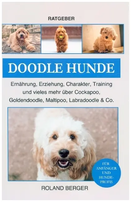 Cover: 9789403660875 | Doodle Hunde Cockapoo, Goldendoodle, Maltipoo, Labradoodle &amp; Co.