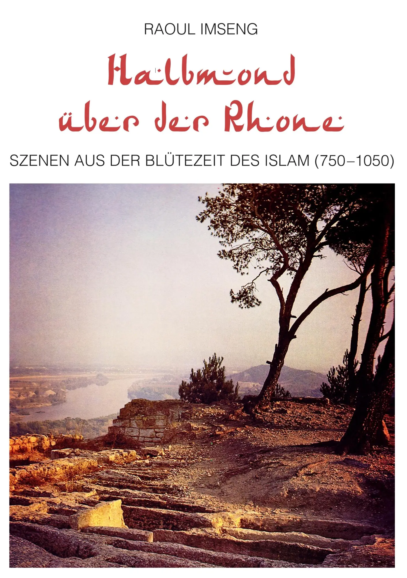 Cover: 9783744810975 | Halbmond über der Rhone | Raoul Imseng | Taschenbuch | 340 S. | 2017