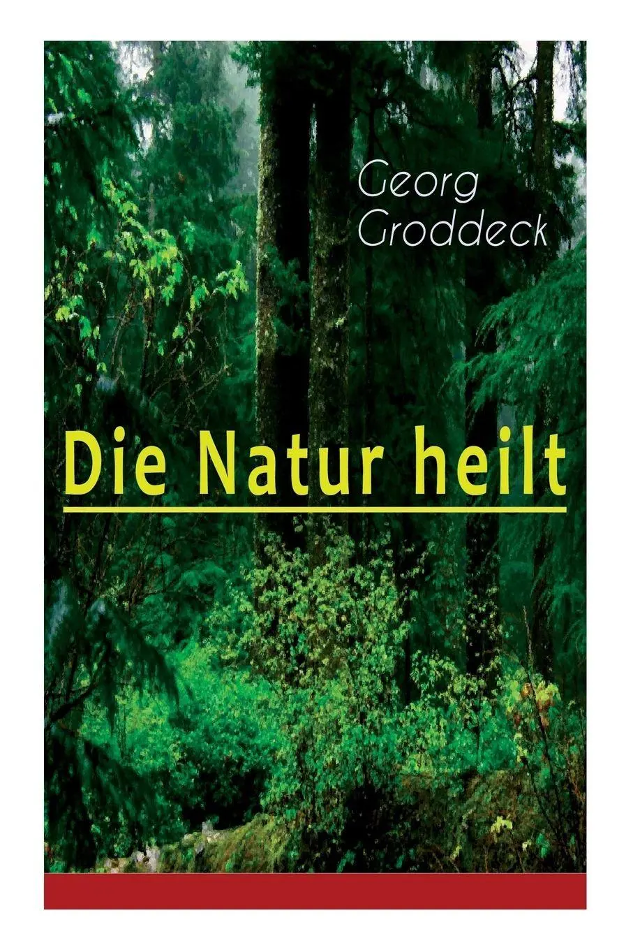 Cover: 9788027310975 | Die Natur heilt | Die Entdeckung der Psychosomatik | Georg Groddeck