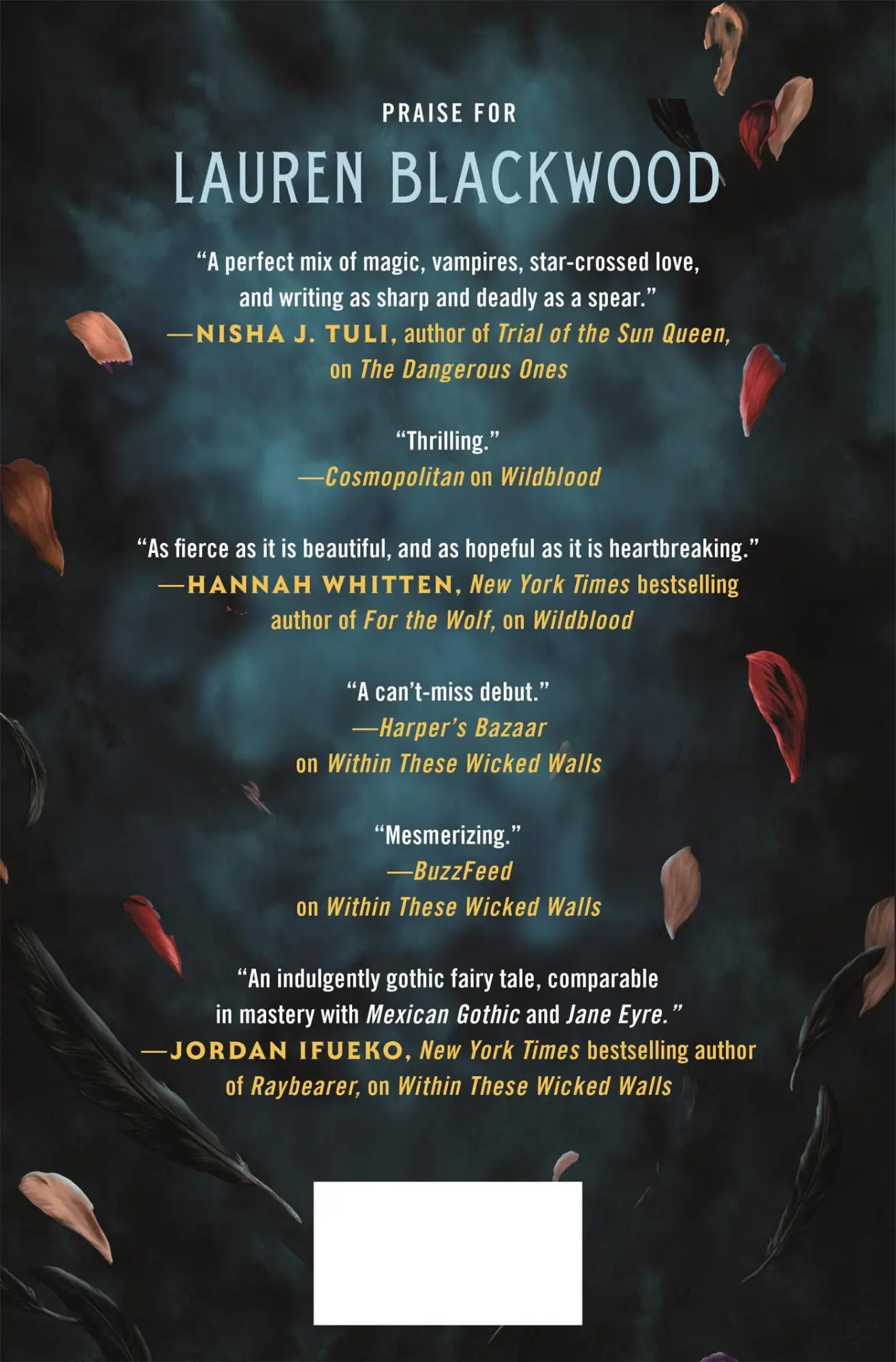 Rückseite: 9781250891075 | The Dangerous Ones | Lauren Blackwood | Buch | Englisch | 2024