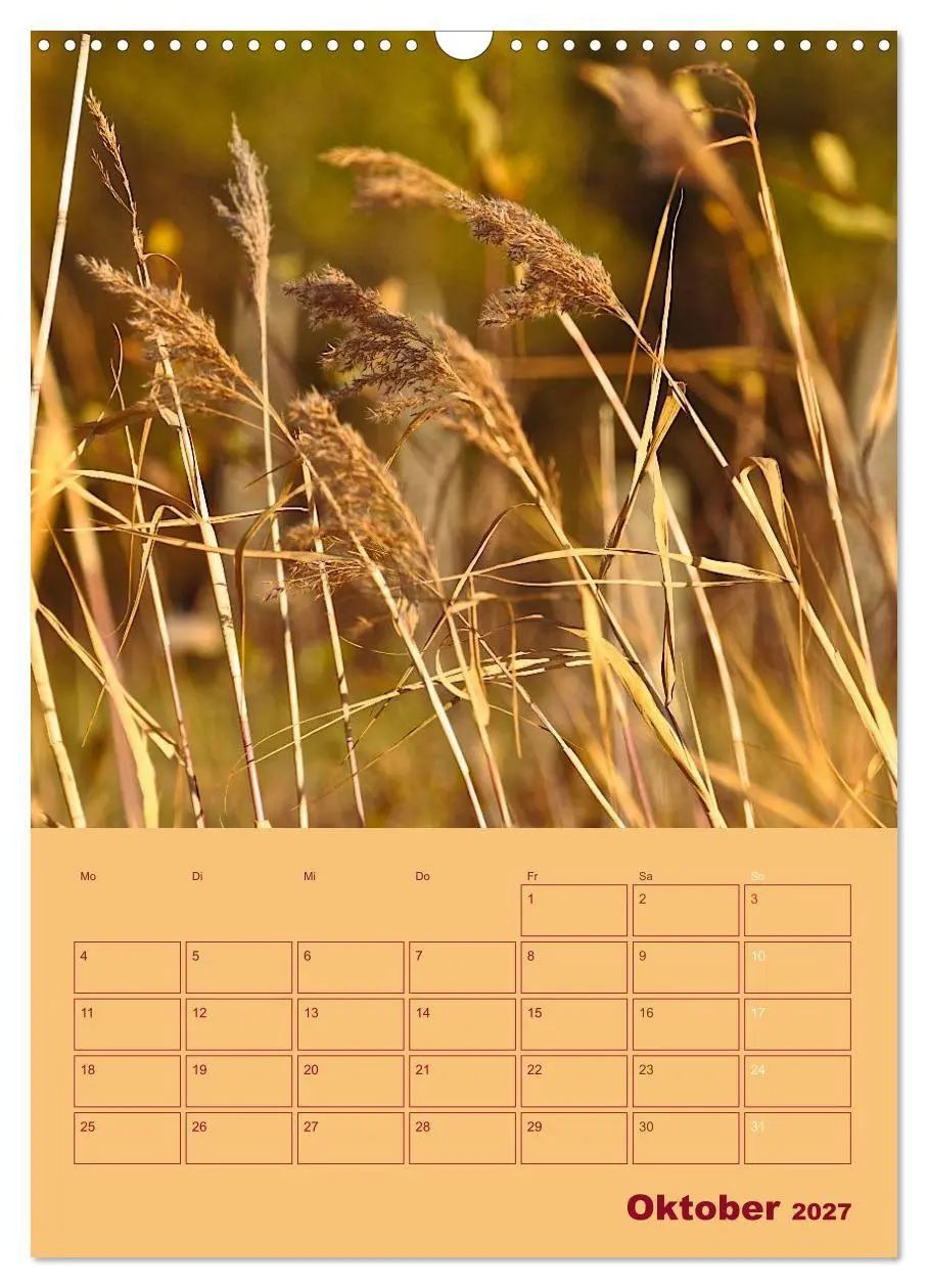 Bild: 9783594081075 | Wald- und Wiesenkalender 2027 Planer (Wandkalender 2027 DIN A3...