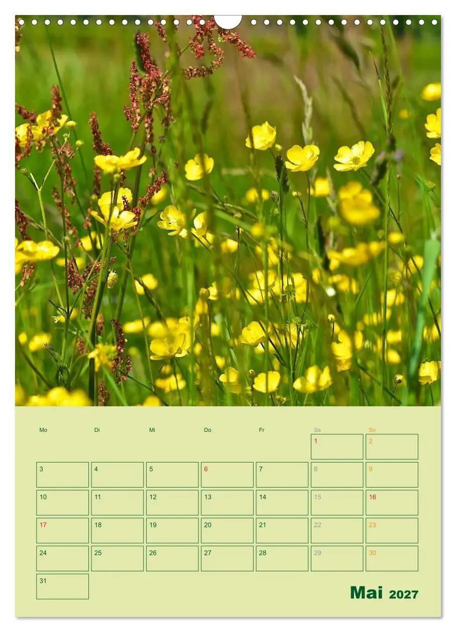 Bild: 9783594081075 | Wald- und Wiesenkalender 2027 Planer (Wandkalender 2027 DIN A3...