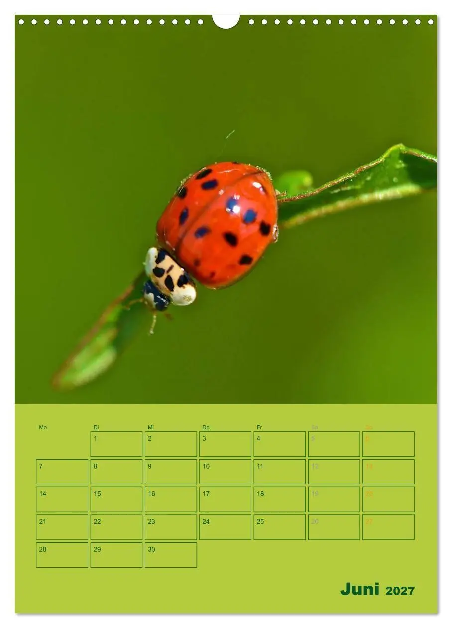 Bild: 9783594081075 | Wald- und Wiesenkalender 2027 Planer (Wandkalender 2027 DIN A3...