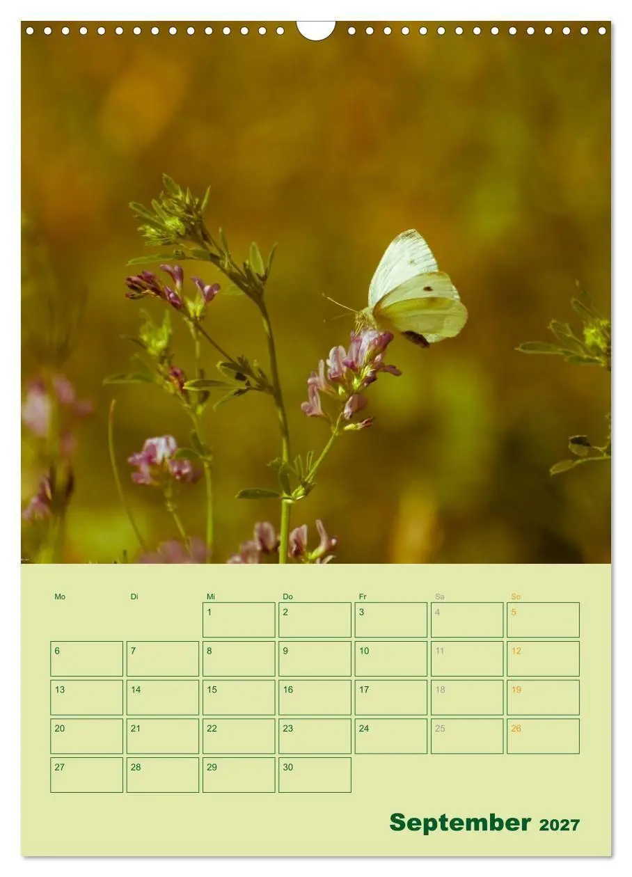 Bild: 9783594081075 | Wald- und Wiesenkalender 2027 Planer (Wandkalender 2027 DIN A3...
