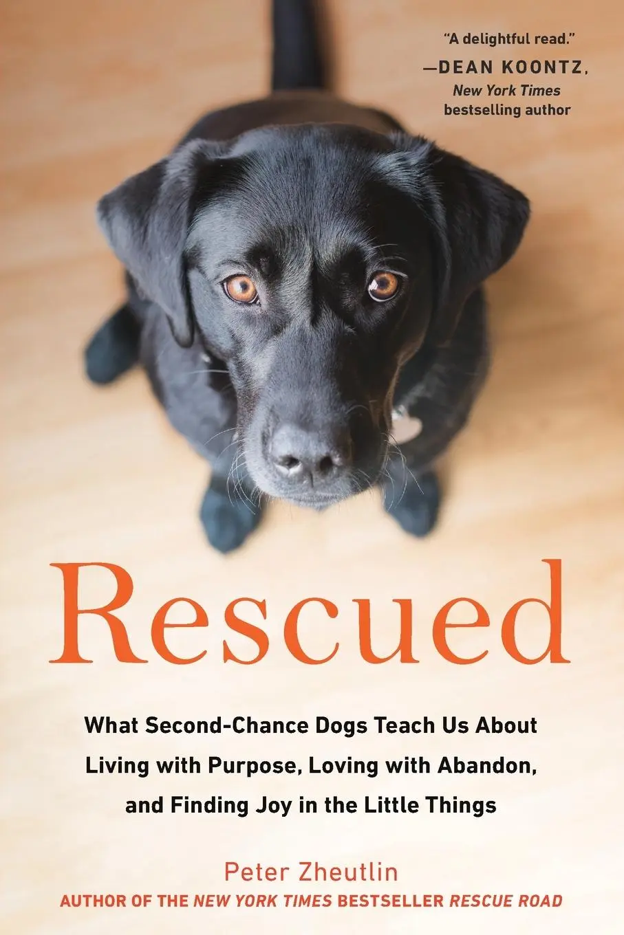 Cover: 9780143131175 | Rescued | Peter Zheutlin | Taschenbuch | Einband - flex.(Paperback)