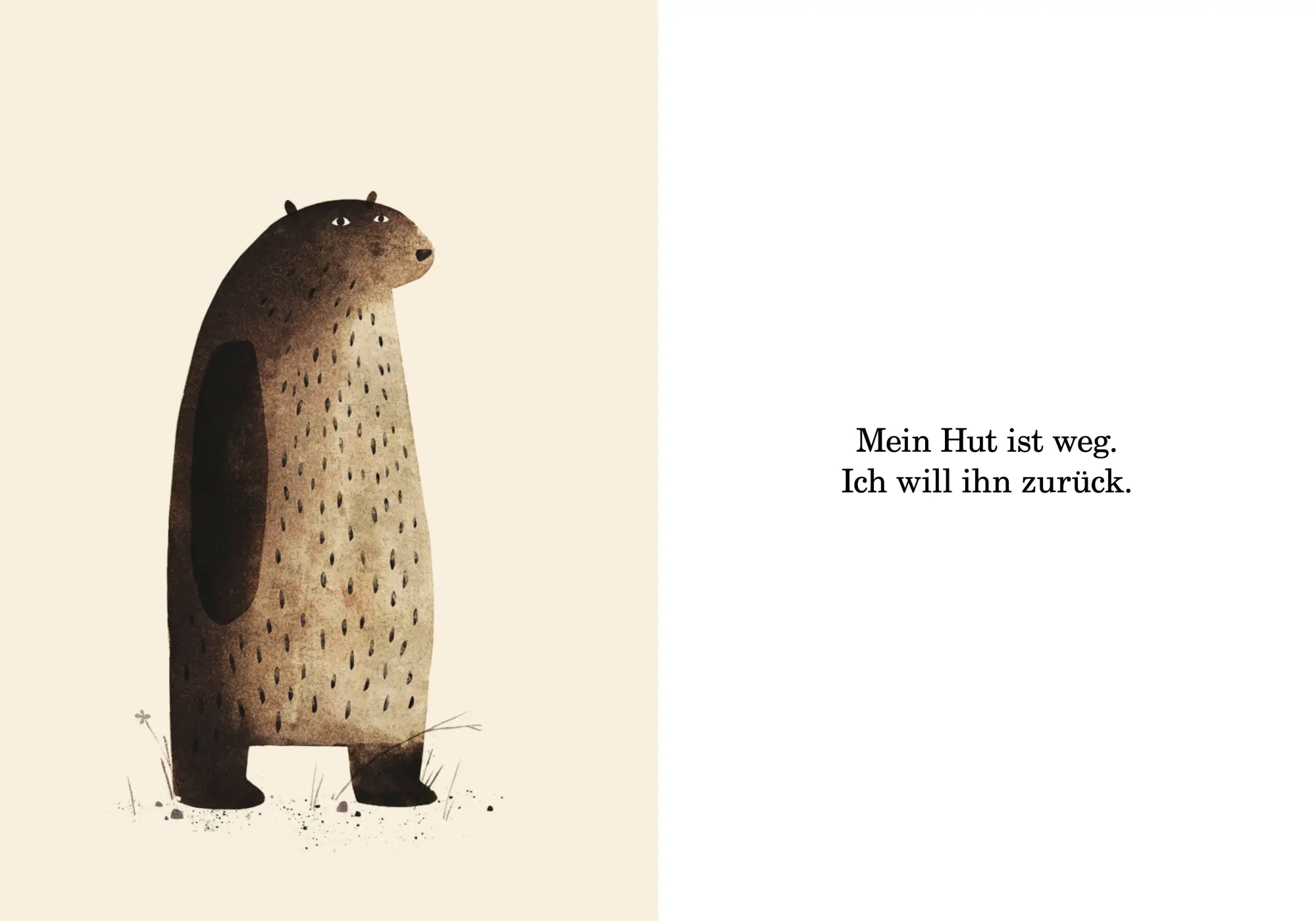 Bild: 9783314101175 | Wo ist mein Hut | Jon Klassen | Buch | 40 S. | Deutsch | 2012