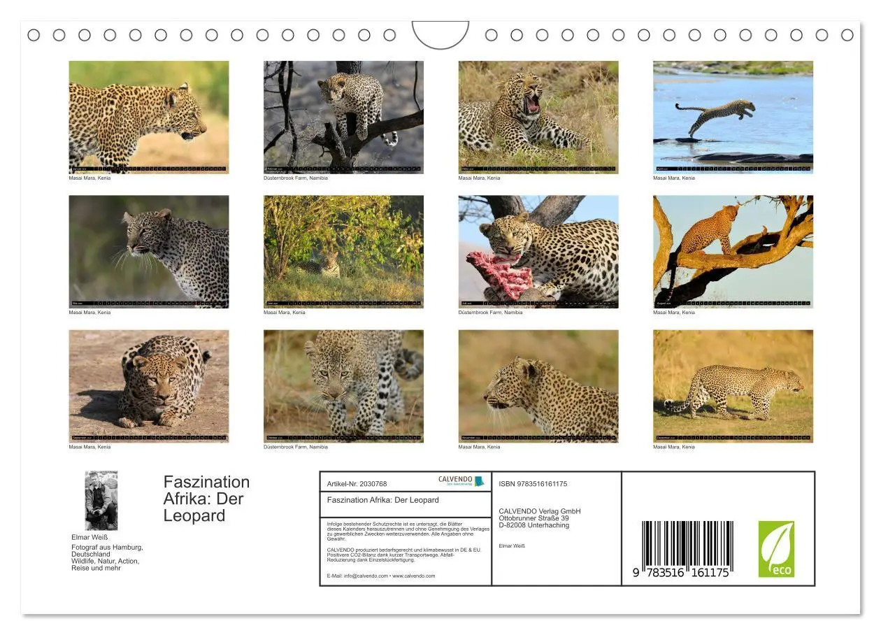 Bild: 9783516161175 | Faszination Afrika: Der Leopard (Wandkalender 2026 DIN A4 quer),...