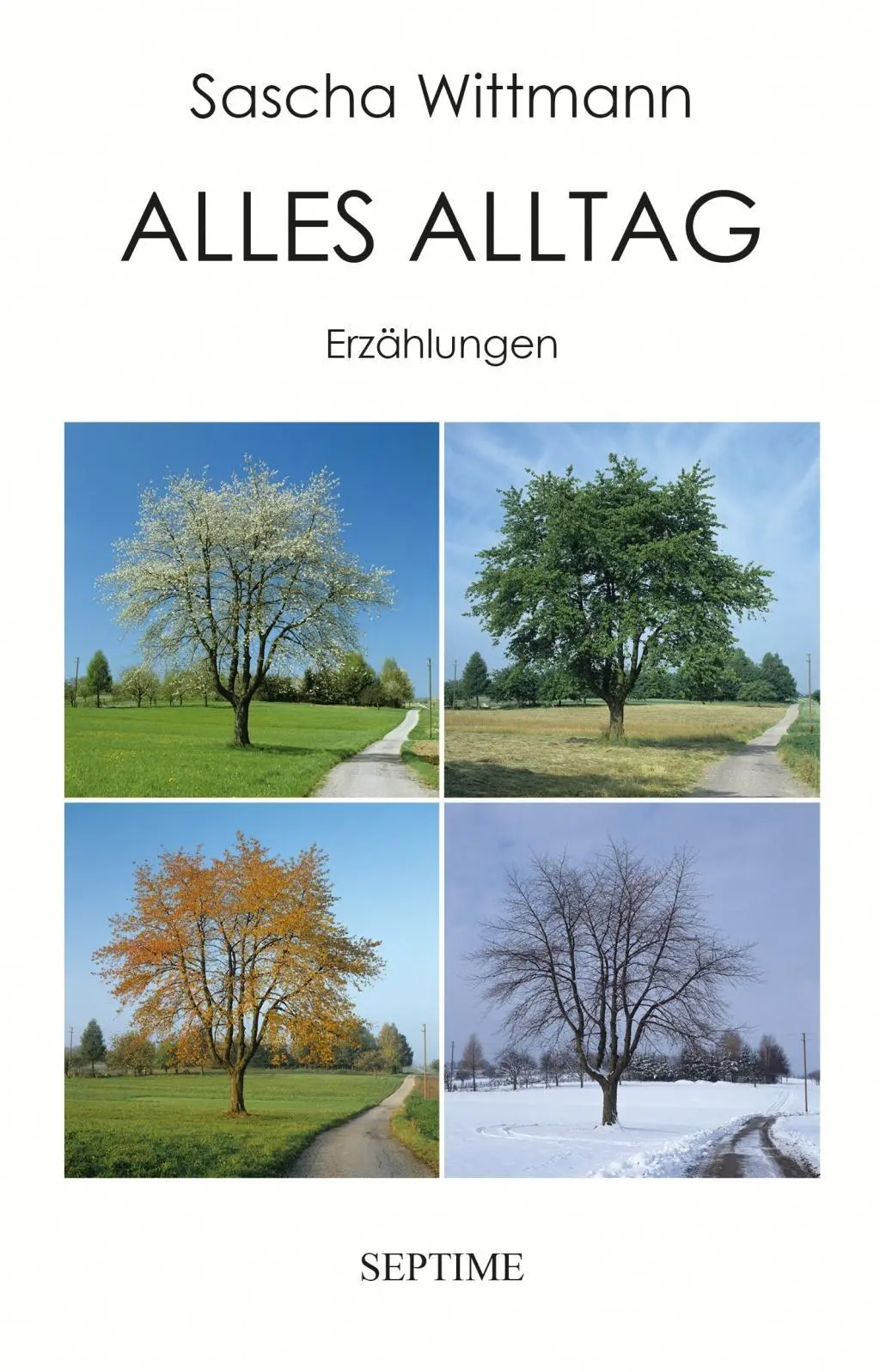 Cover: 9783902711175 | Alles Alltag | Erzählungen | Sascha Wittmann | Buch | Gebunden | 2020