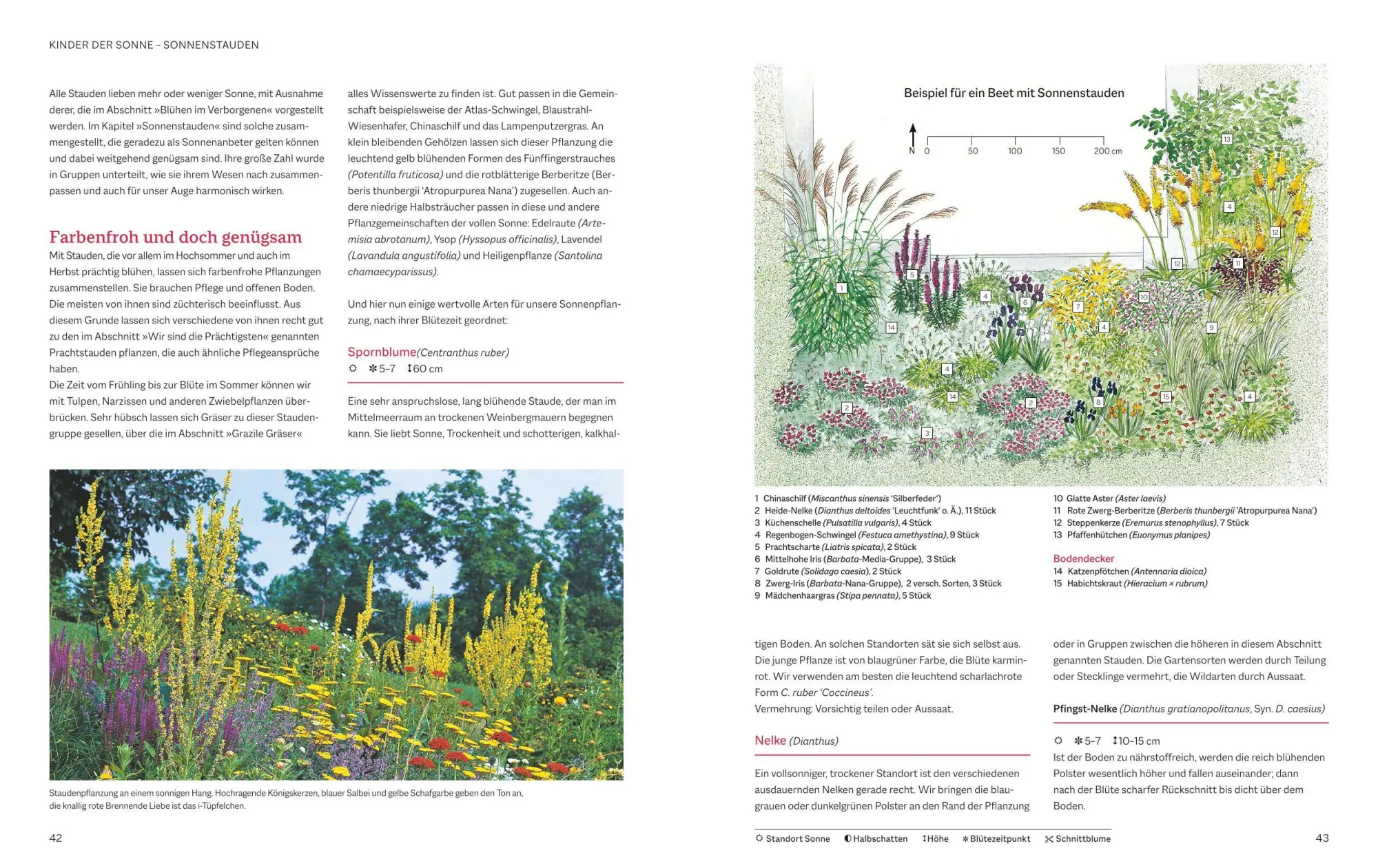 Bild: 9783967471175 | Das BLV Handbuch Stauden | Arten und Sorten Pflanzen und Pflegen | BLV