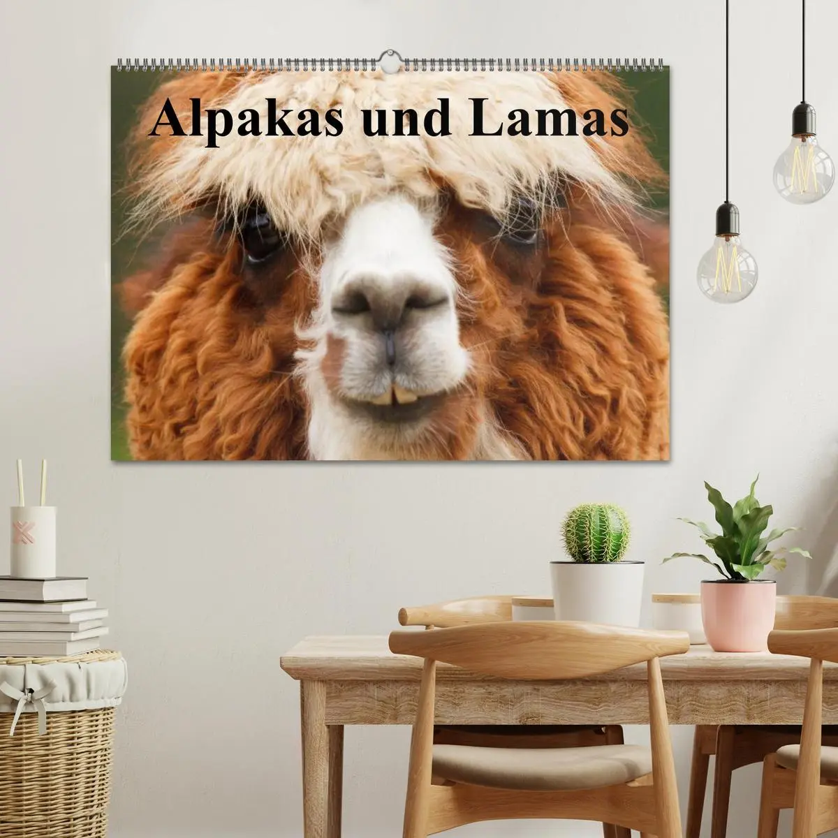 Bild: 9783516221275 | Alpakas und Lamas (Wandkalender 2026 DIN A2 quer), CALVENDO...