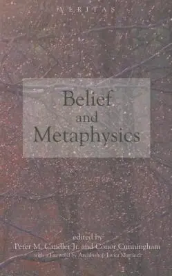Cover: 9780334041375 | Belief and Metaphysics | Conor Cunningham (u. a.) | Taschenbuch | 2011