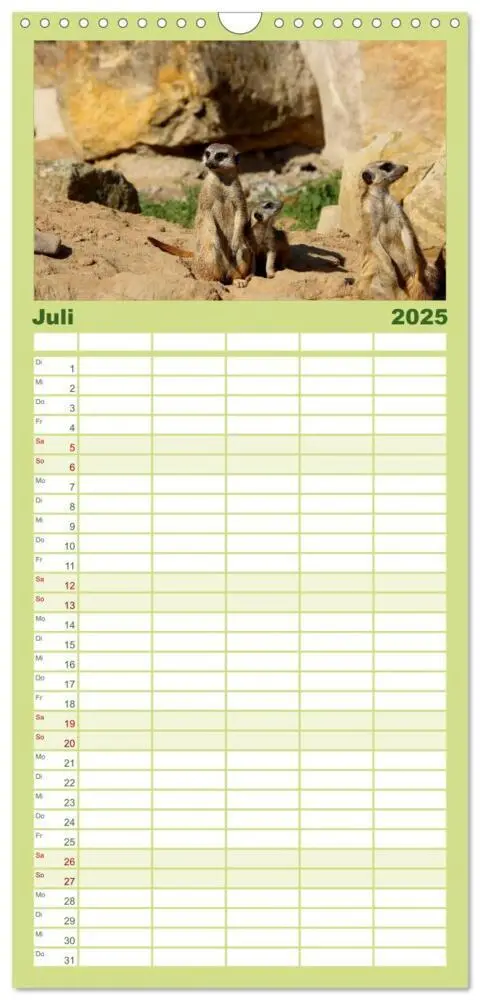 Bild: 9783457121375 | Familienplaner 2025 - Erdmännchen mit 5 Spalten (Wandkalender, 21 x...