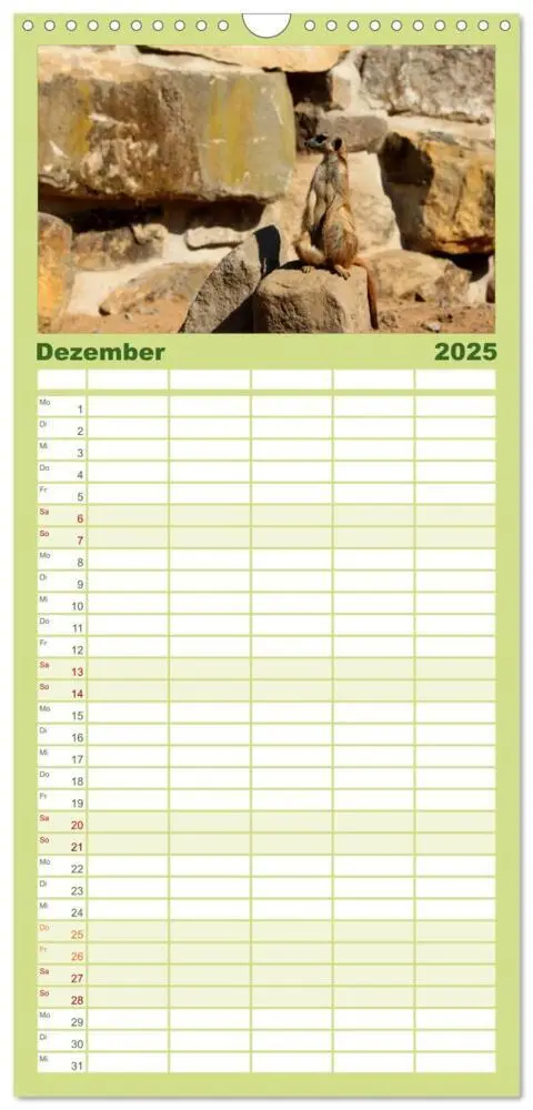Bild: 9783457121375 | Familienplaner 2025 - Erdmännchen mit 5 Spalten (Wandkalender, 21 x...