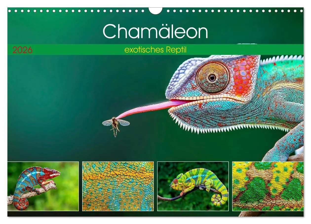 Cover: 9783516691375 | Chamäleon - exotisches Reptil (Wandkalender 2026 DIN A3 quer),...