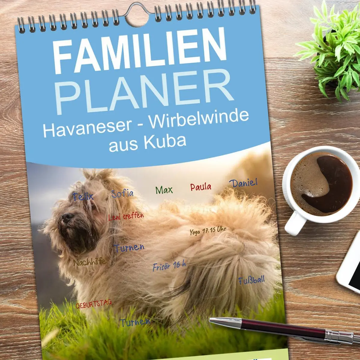 Bild: 9783516511475 | Familienplaner 2026 - Havaneser - Wirbelwinde aus Kuba mit 5...