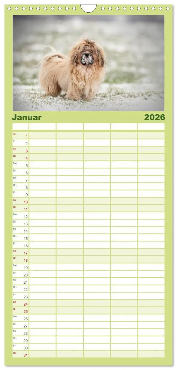 Bild: 9783516511475 | Familienplaner 2026 - Havaneser - Wirbelwinde aus Kuba mit 5...