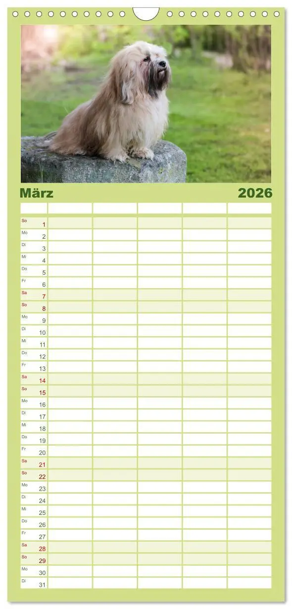 Bild: 9783516511475 | Familienplaner 2026 - Havaneser - Wirbelwinde aus Kuba mit 5...
