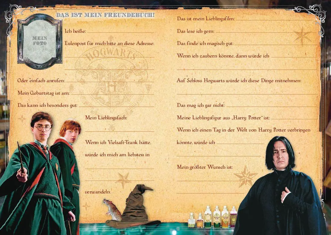 Bild: 9783833241475 | Harry Potter: Meine Freunde | Freundebuch | Panini | Buch | 72 S.