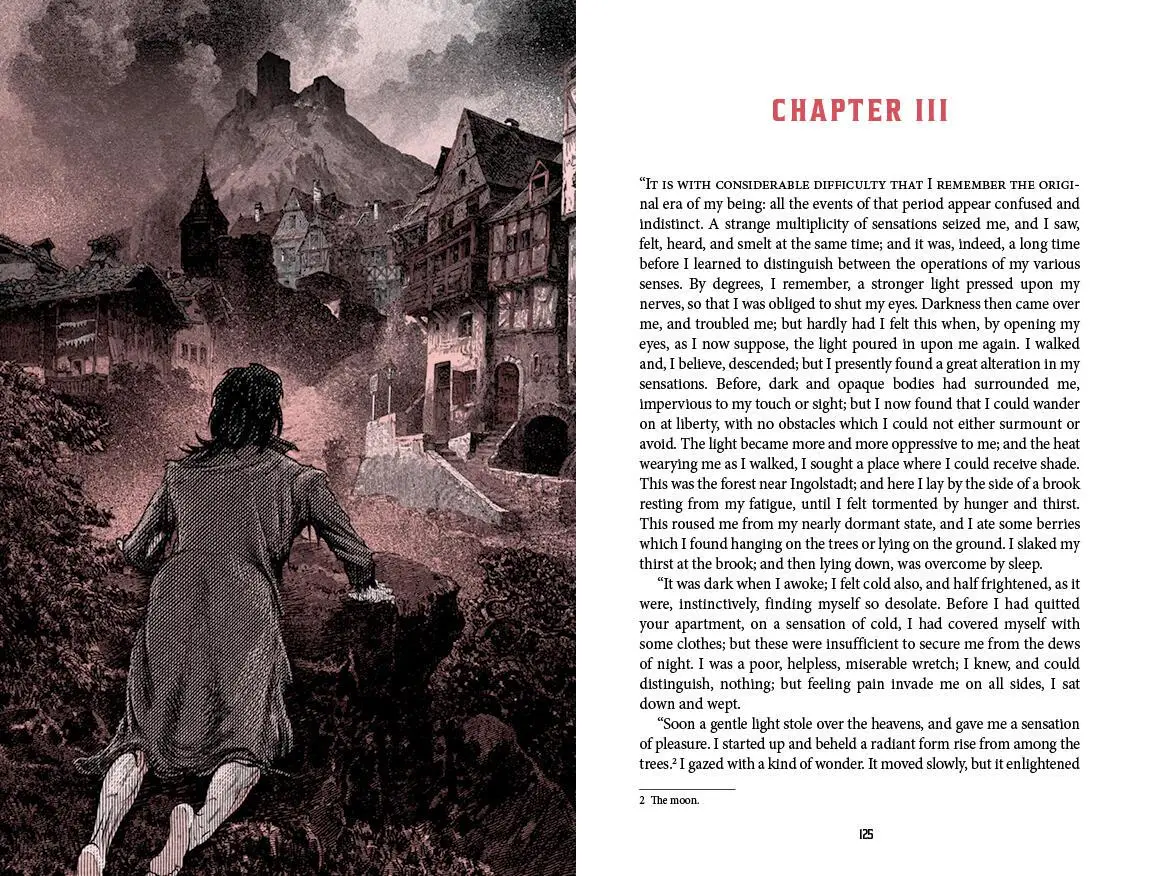 Bild: 9781454951575 | Frankenstein (Deluxe Edition) | Mary Shelley | Buch | Gebunden | 2023